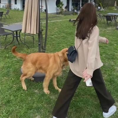 地平线系列：绿色畜牧